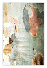 Load image into Gallery viewer, Bingarrie