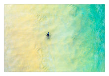Load image into Gallery viewer, A seal cruising through pristine waters off the far south coast nsw. Sapphire coast Merimbula decor fine art prints