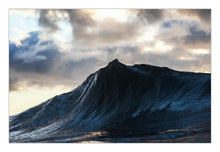 Load image into Gallery viewer, Ellestrea