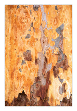 Load image into Gallery viewer, Eucalyptus Greg Selby Wall Hanging print South Coast decor Art