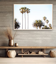 Load image into Gallery viewer, Bermagui's fine art landscape photo of the famous palm trees in the main street of the small town photo by Greg Selby decor prints subtle blue skies wall hanging