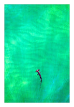 Load image into Gallery viewer, A photo featuring a green abstract ocean scape with a hammerhead shark