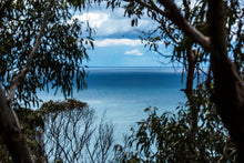Load image into Gallery viewer, A landscape photograph featuring a body of water with a cloudy sky above, framed by tree branches in the foreground. Greg selby seascape far south coast photographer sapphire coast artist