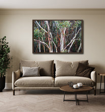 Load image into Gallery viewer, Snow Gums In Melbourne Shot by Greg Selby Decor print reds and greens 