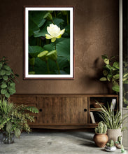 Load image into Gallery viewer, Water lily by south coast photographer greg selby available on many mediums wall art decor 