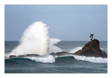 Load image into Gallery viewer, fine art photograph of a powerful ocean wave crashing beside a rocky sea stack at Cuttagee, crowned by a solitary tree symbolising resilience against the force of nature. bermagui nsw southcoast greg selby photography