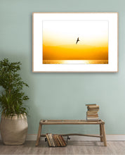 Load image into Gallery viewer, a crested tern on sunset on the south coast of nsw decor print framed perfectly by greg selby