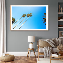 Load image into Gallery viewer, Fine Art Print of the local palm trees on the south coast Bermagui local Photographer Greg Selby decort