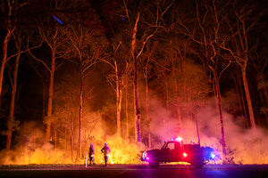 firefighters on watch over night as the forest is burning